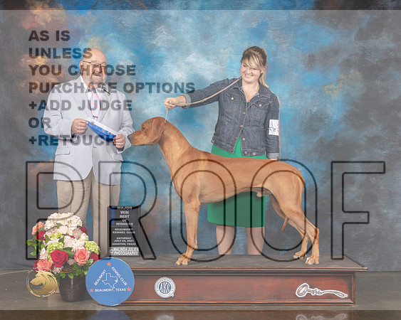 Rhodesian Ridgeback #39 Sat WD BOW Major Judge Raymond Filburn-MMJ_0808-HOUSTON21-HR3