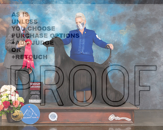 Afghan Hound #5 Sat G2 Judge Joseph Gregory-MMJ_0987-HOUSTON21-HR3