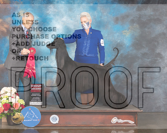 Afghan Hound #5 Sat G2 Judge Joseph Gregory-MMJ_0993-HOUSTON21-HR3