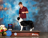 Border Collie #6 Sat WB BOS Judge Debbie Melgreen