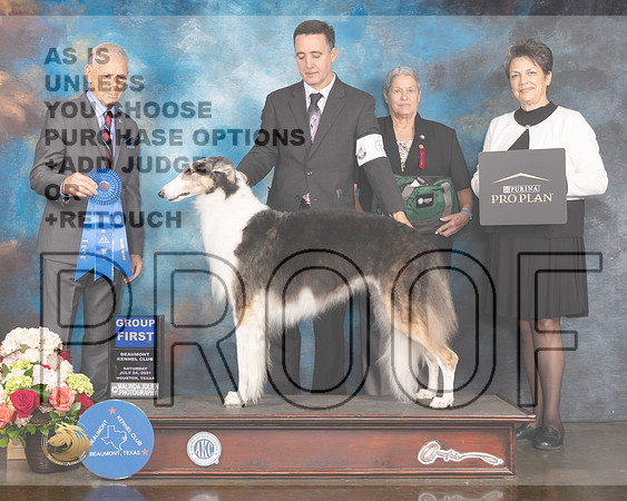 Borzoi #6 Sat G1 Judge Joseph Gregory-MMJ_0982-HOUSTON21-HR3