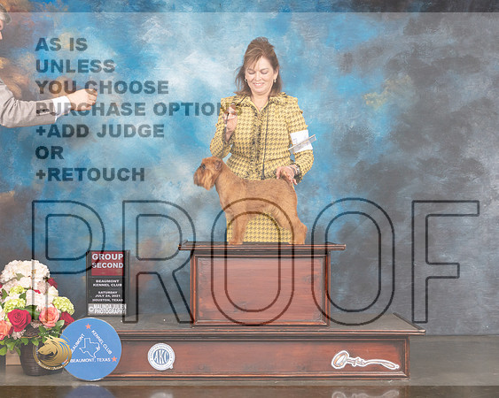 Brussels Griffons # Sat G2 Judge Randy Garren-MMJ_0956-HOUSTON21-HR3