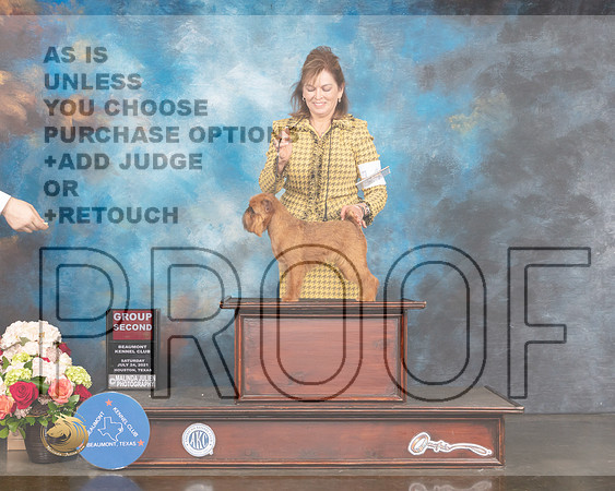Brussels Griffons # Sat G2 Judge Randy Garren-MMJ_0958-HOUSTON21-HR3