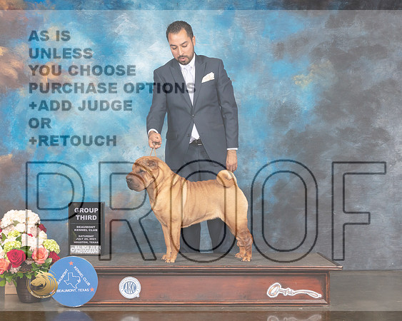 Chinese Shar Pei #6 Sat G3 Judge Evalyn Gregory-MMJ_0971-HOUSTON21-HR3