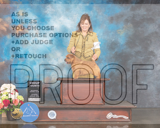 Norfolk Terrier #15 St G4 Judge Peggy Beisel McIllwaine-MMJ_1013-HOUSTON21-HR3