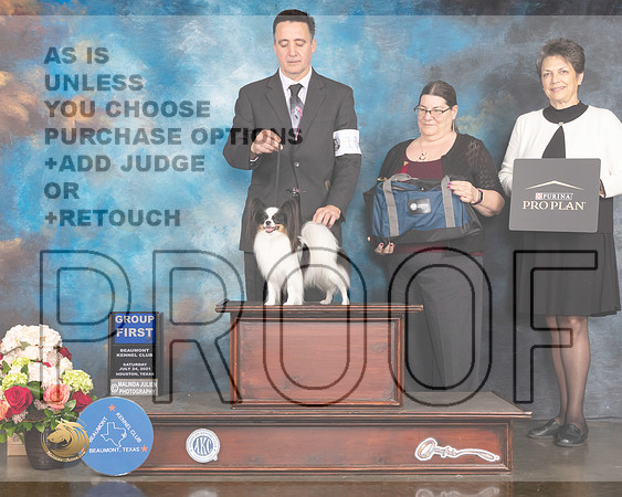 Papillon #10 Sat G1 Judge Randy Garren-MMJ_1041-HOUSTON21-HR3