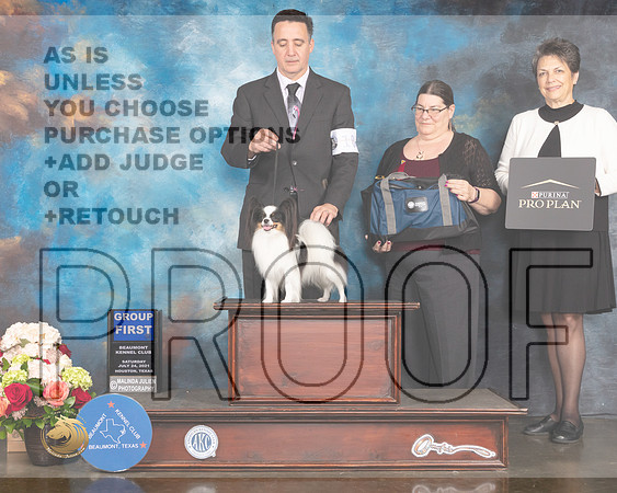 Papillon #10 Sat G1 Judge Randy Garren-MMJ_1042-HOUSTON21-HR3