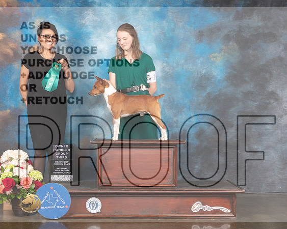 Rat Terrier #11 Sat OHG3 Judge Sharon Newcomb-MMJ_1065-HOUSTON21-HR3