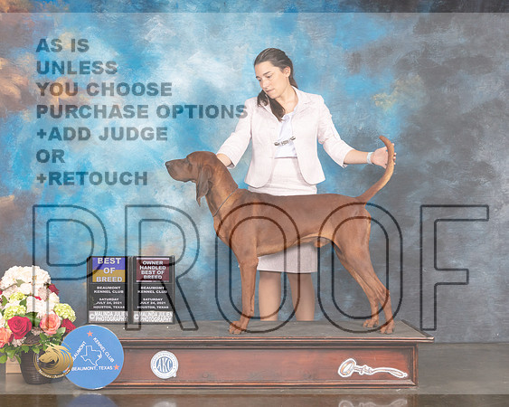 Redbone Coonhound #5 Sat BOB BOBOH Judge Raymond Filbunr-MMJ_0950-HOUSTON21-HR3
