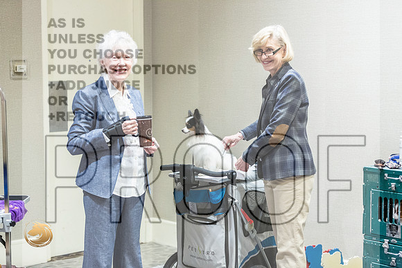 *Candids Papillon FriJJL_3609_HstnTOY_2022_HR3