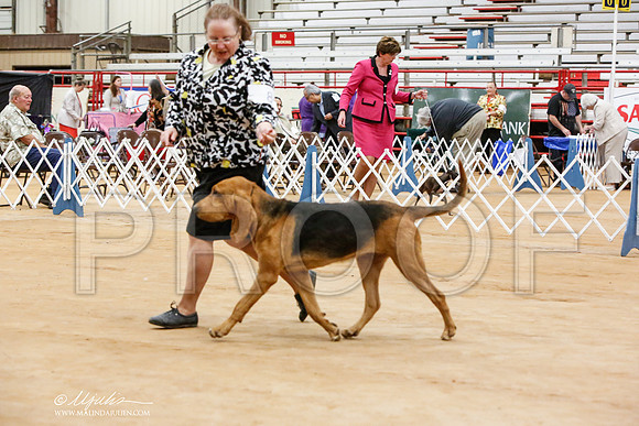 _JN_6336-TxArJun2014-HR3
