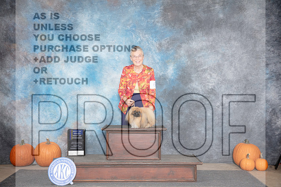 Pekingese #6 Sat BOBBOWWB Judge Ray Filburn__JP_8898_Humble_2024_HR3