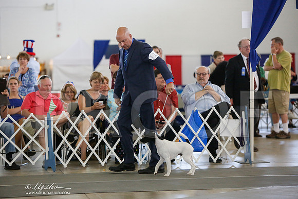 _JJ_2372-DalJul2014-HR3