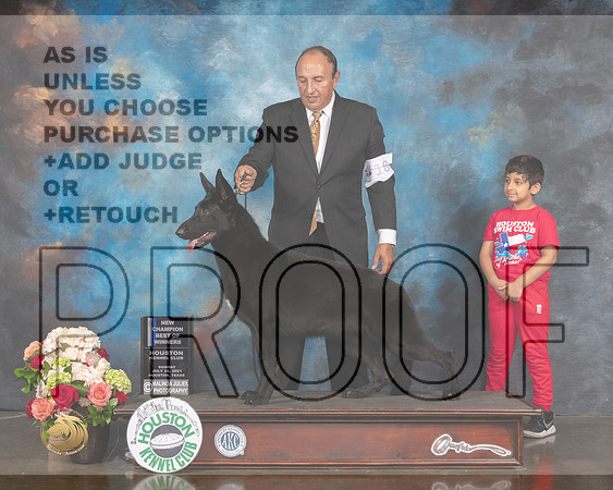 German Shepherd Dog #18 Sun BOW NCH Judge Sharon Newcomb-MMJ_1149-HOUSTON21-HR3