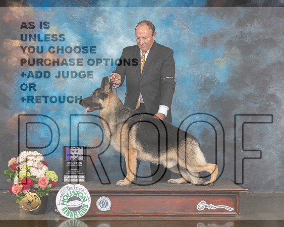 German Shepherd Dog #5 Sun WD Maj Judge Sharon Newcomb-MMJ_1175-HOUSTON21-HR3