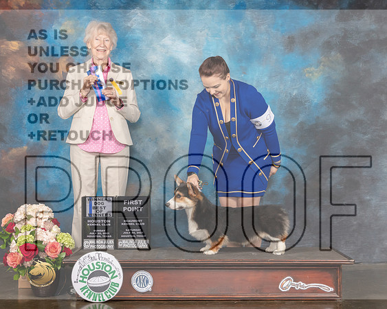 Pembroke Welsh Corgi #9 Sun WD BOW Judge Sharon Newcomb-MMJ_1246-HOUSTON21-HR3
