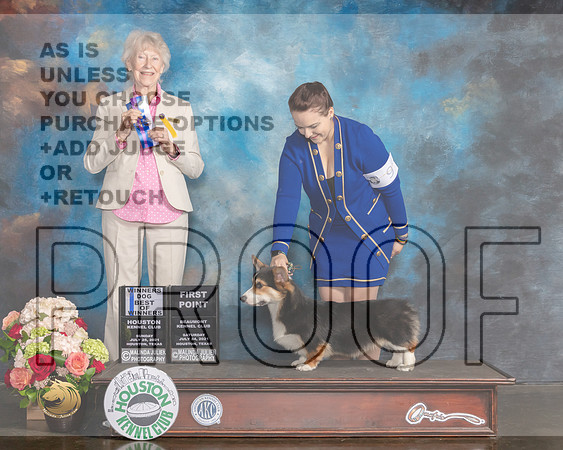 Pembroke Welsh Corgi #9 Sun WD BOW Judge Sharon Newcomb-MMJ_1248-HOUSTON21-HR3