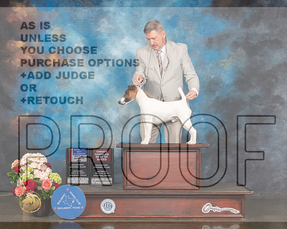 Smooth Fox Terrier #7 Sat WD BOW BOS OHBOB Major Judge Rosalind Kramer-MMJ_1129-HOUSTON21-HR3