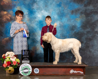 Spinone Italiani #12 Sun WB BOW NCH Judge Debbie Melgreen