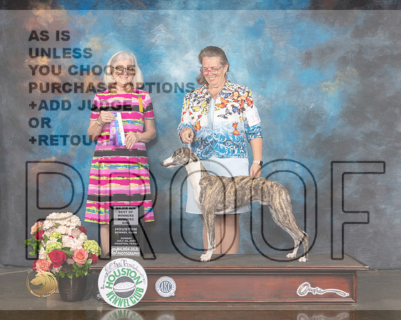 Whippet #19 Sun WD BOW Major Judge Molly Martin-MMJ_1139-HOUSTON21-HR3