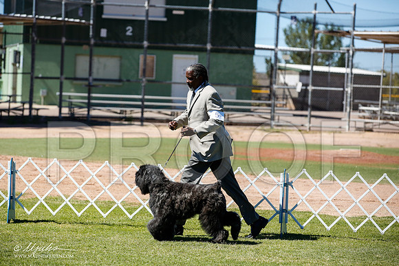 _JN_8874-AlamogordoOct2014-HR3