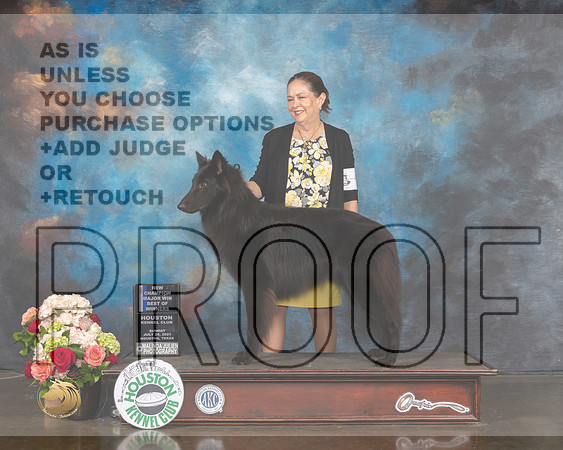 Belgian Sheepdog #9 Sun WD BOW NCH Major Judge Sherry Webster-MMJ_1406-HOUSTON21-HR3