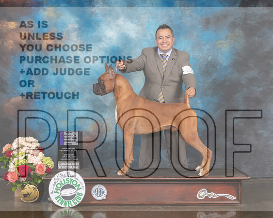 Boxer #53 WD NCH Major Judge David Haddock R-MMJ_1425-HOUSTON21-HR3