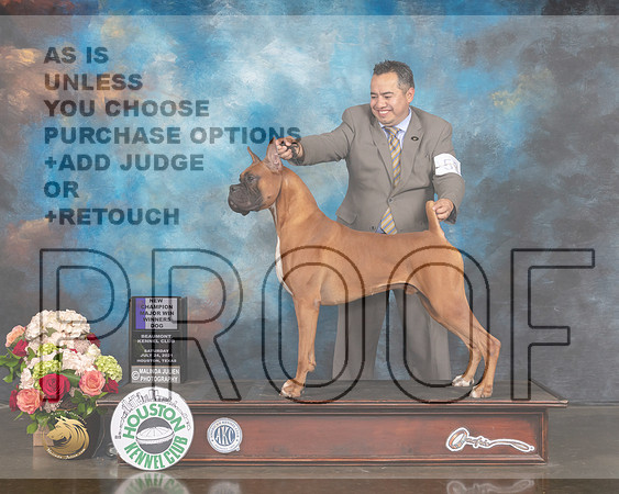 Boxer #53 WD NCH Major Judge David Haddock R-MMJ_1429-HOUSTON21-HR3