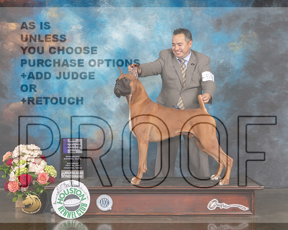 Boxer #53 WD NCH Major Judge David Haddock R-MMJ_1430-HOUSTON21-HR3
