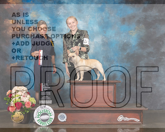 French Bulldog #10 Sun BOS NGCH Judge Evalyn Gregory-MMJ_1296-HOUSTON21-HR3