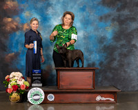 French Bulldog #12 Sun BOW WB Judge Evalyn Gregory