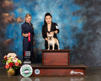 French Bulldog #24 Sun 9to12 2nd Judge Evalyn Gregory