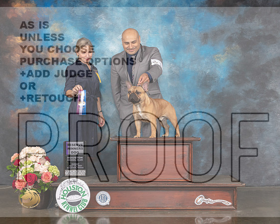 French Bulldog #17 Sun RW 9to12 1st Judge Evalyn Gregory-MMJ_1316-HOUSTON21-HR3