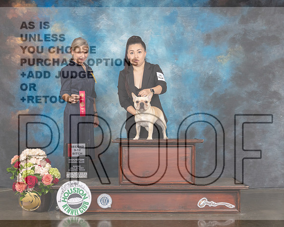 French Bulldog #24 Sun 9to12 2nd Judge Evalyn Gregory-MMJ_1310-HOUSTON21-HR3