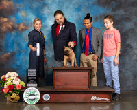 French Bulldog #26 Sun SB Judge Evalyn Gregory