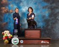 French Bulldog #9 Sun WD Judge Evalyn Gregory
