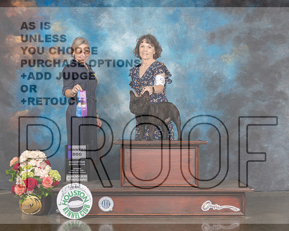French Bulldog #9 Sun WD Judge Evalyn Gregory-MMJ_1327-HOUSTON21-HR3