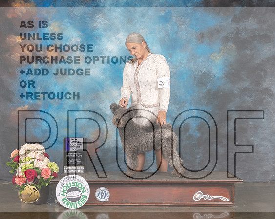 Pumik #11 Sun WD NCH Major Judge Sharon Newcomb-MMJ_1414-HOUSTON21-HR3