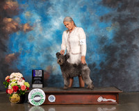 Pumik #11 Sun WD NCH Major Judge Sharon Newcomb