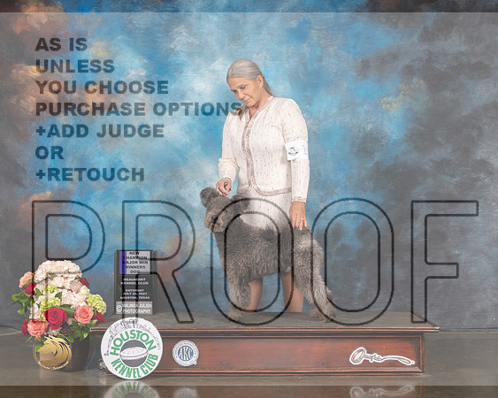 Pumik #11 Sun WD NCH Major Judge Sharon Newcomb-MMJ_1413-HOUSTON21-HR3