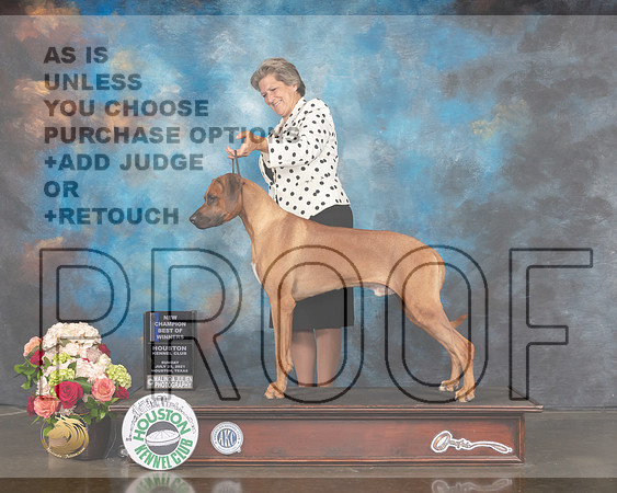 Rhodesian Ridgeback #37 Sun WD BOW Major Judge Joseph Gregory-MMJ_1420-HOUSTON21-HR3