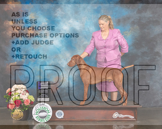 Vizsla #5 Sun WD Major Judge Debbie Melgreen-MMJ_1288-HOUSTON21-HR3