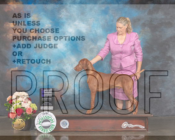 Vizsla #5 Sun WD Major Judge Debbie Melgreen-MMJ_1291-HOUSTON21-HR3