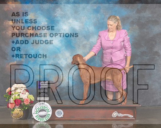 Vizsla #5 Sun WD Major Judge Debbie Melgreen-MMJ_1293-HOUSTON21-HR3