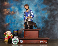 Boston Terrier #28 Sun BOB Judge Raymon Filburn