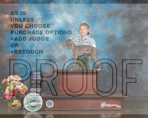 Italian Greyhound #11 Fri Open WD Judge Evalyn Gregory R-MMJ_1444-HOUSTON21-HR3