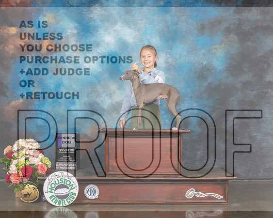 Italian Greyhound #11 Fri Open WD Judge Evalyn Gregory R-MMJ_1450-HOUSTON21-HR3