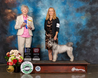 Pumik #12 Sun OHBOB BOW MCH Judge Sharon Newcomb