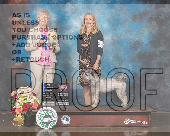 Pumik #12 Sun OHBOB BOW MCH Judge Sharon Newcomb-MMJ_1473-HOUSTON21-HR3