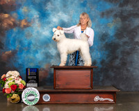 Pumik #5 Sun Judge Sharon Newcomb